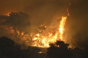 Inforum - California Insurance Industry Wildfire - SEP